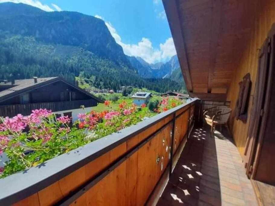 Apartamento La Mansarda In The Dolomites Jacuzzi Santo Stefano Di Cadore Exterior foto